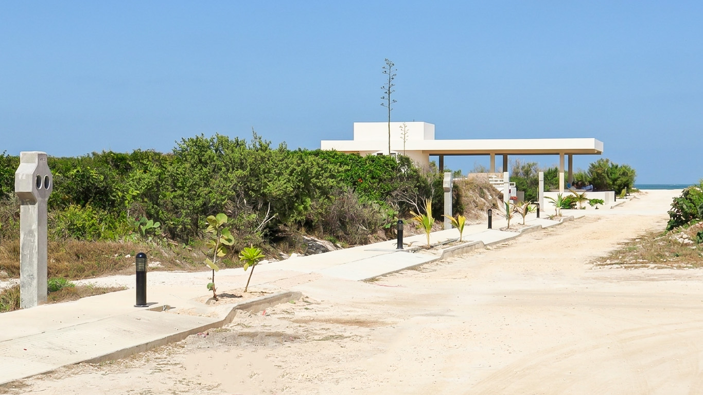 Imagen 2